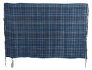 Chic Linen Fringed Scarf in Blue Checkered