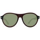 Serengeti Brown Men Sunglasses